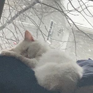 Meet your Posher, Evan